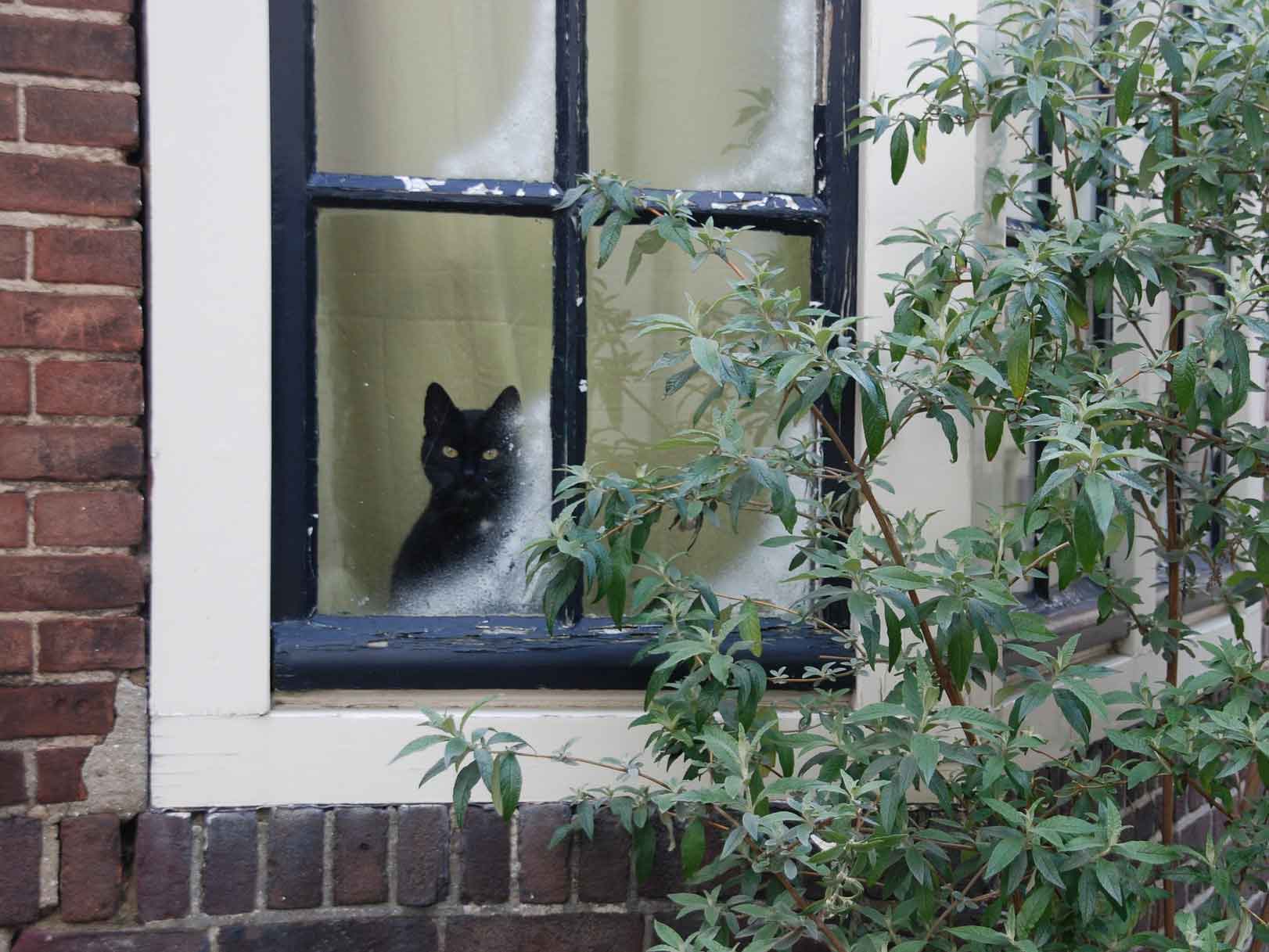 How An Indoor Lifestyle Leads To Dangerous Obesity Issues