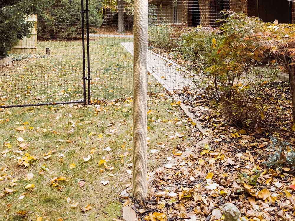 The Advantages of Outdoor Cat Scratching Posts for Upgrading Your Catio