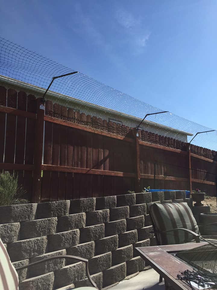 Wooden Fence that is cat proofed with purrfect cat fence