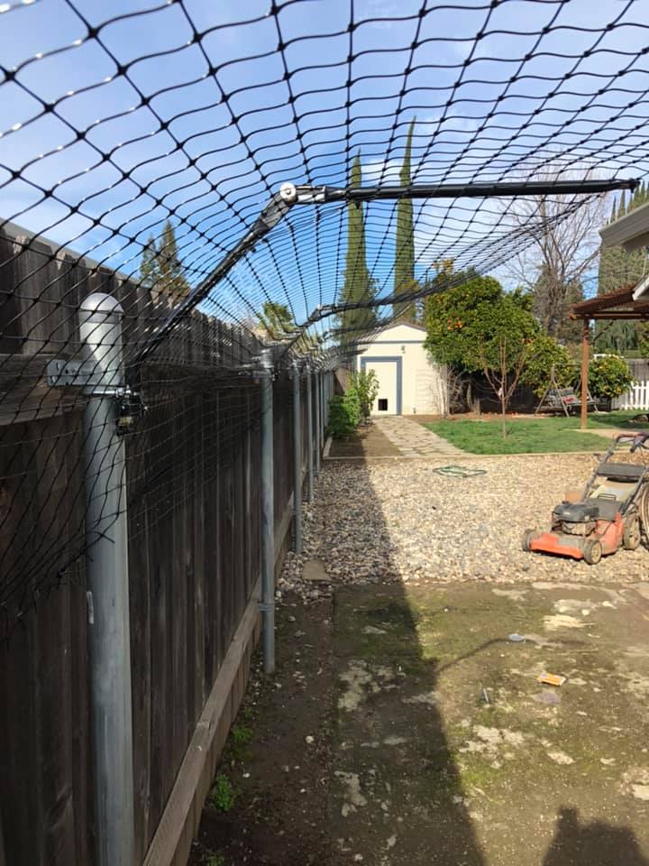 Pivoting cat arms by purrfect fence