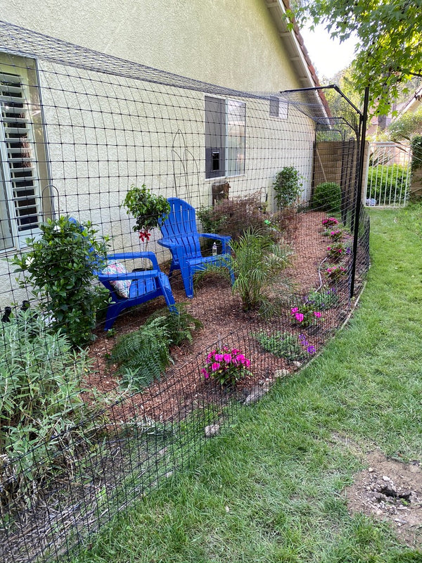 small cat outdoor enclosure
