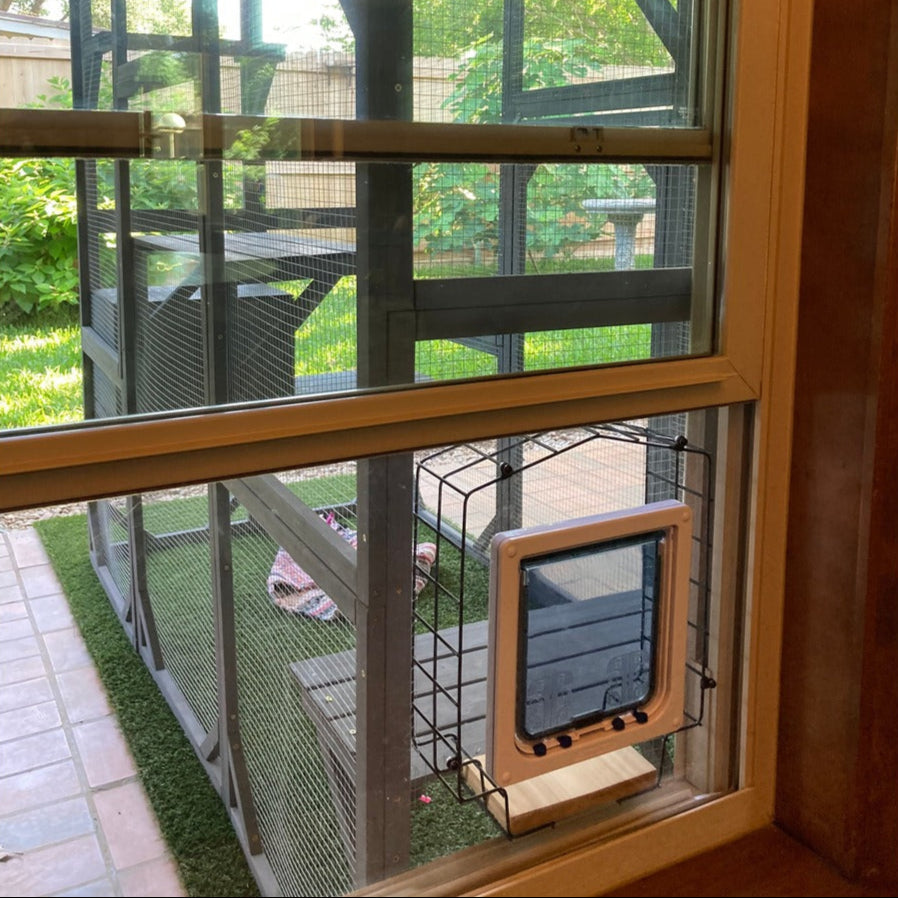 Window Cat Door Insert