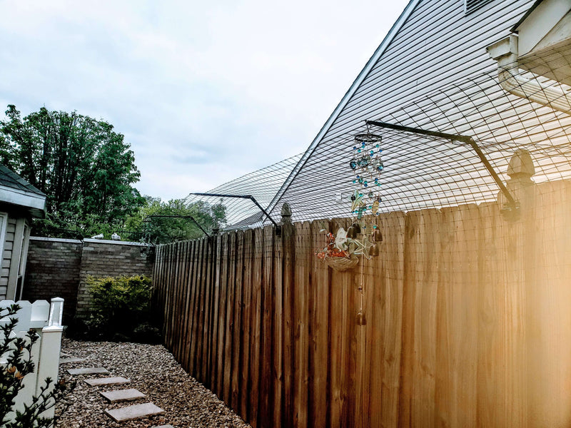 cat fence in the backyard of a house
