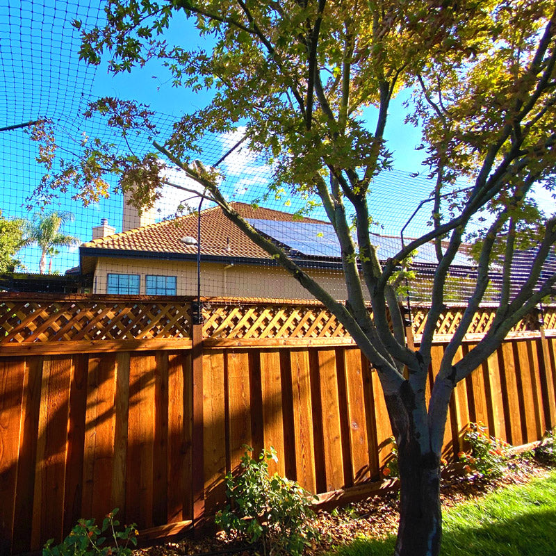 example of a cat fence topper