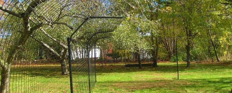 freestanding cat enclosure