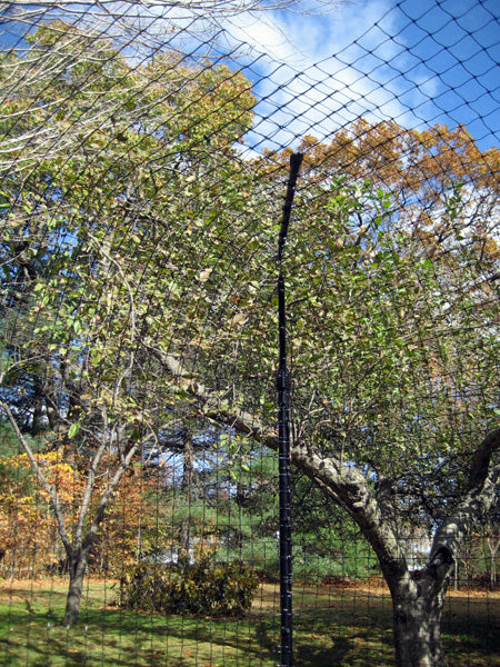 Corner picture of cat fence