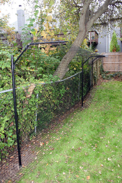 example of a backyard cat fence