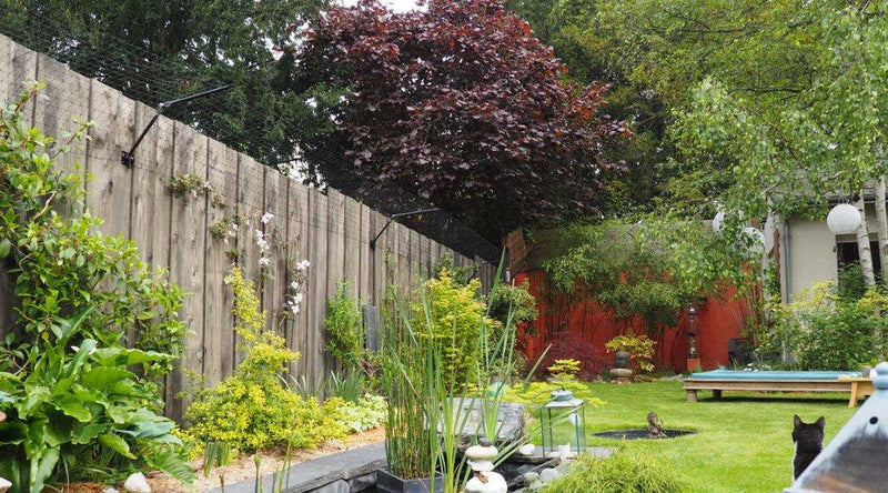 backyard wooden fence that uses purrfect fence