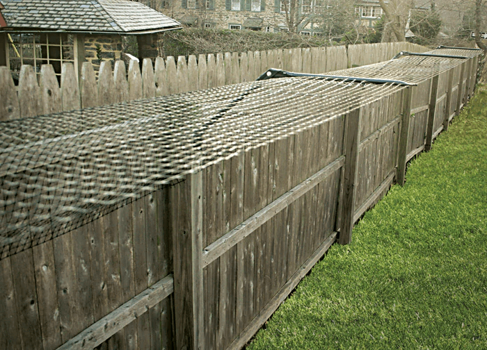 installed fence to protect cats