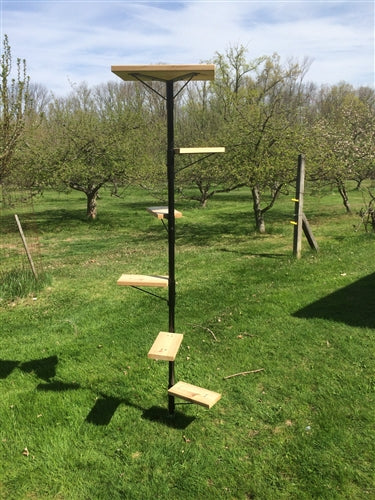 Purrfect Perch Outdoor Cat Tree Cat Fencing Products Purrfect Fence