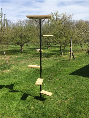 Purrfect Perch Outdoor Cat Tree Cat Fencing Products Purrfect Fence