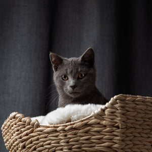 The Bungalow Cat Tree