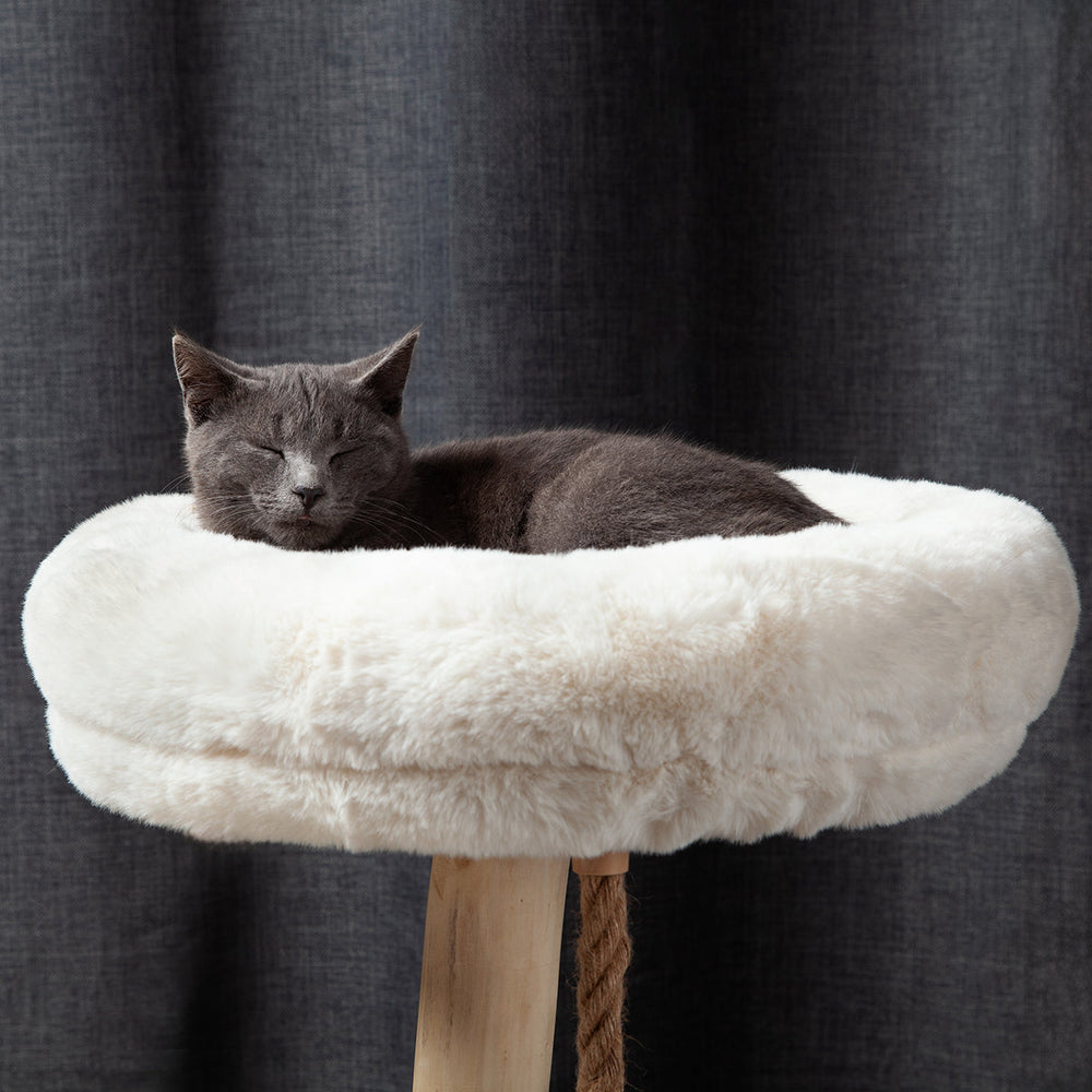 The Oasis Cat Tree