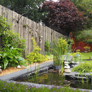 Existing Fence Conversion System Kit for Cats Cat Fencing Products Purrfect Fence