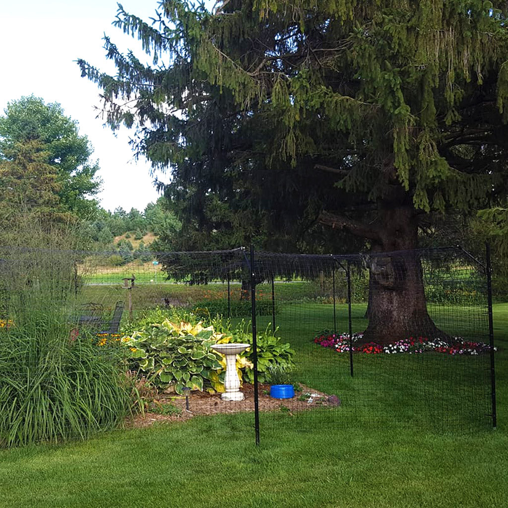 Free-Standing Cat Fence Enclosure System Cat Fence Kits Purrfect Fence