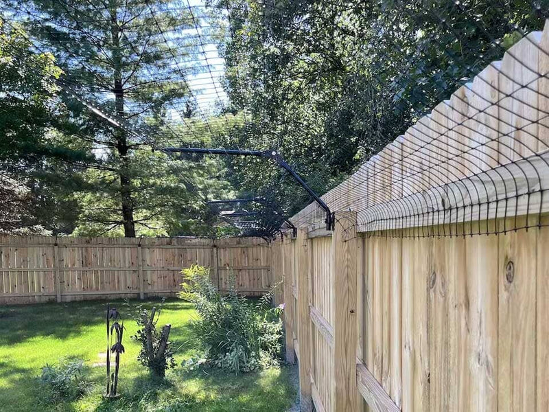 How to Keep Your Cat in Your Yard: Simple Tips That Work