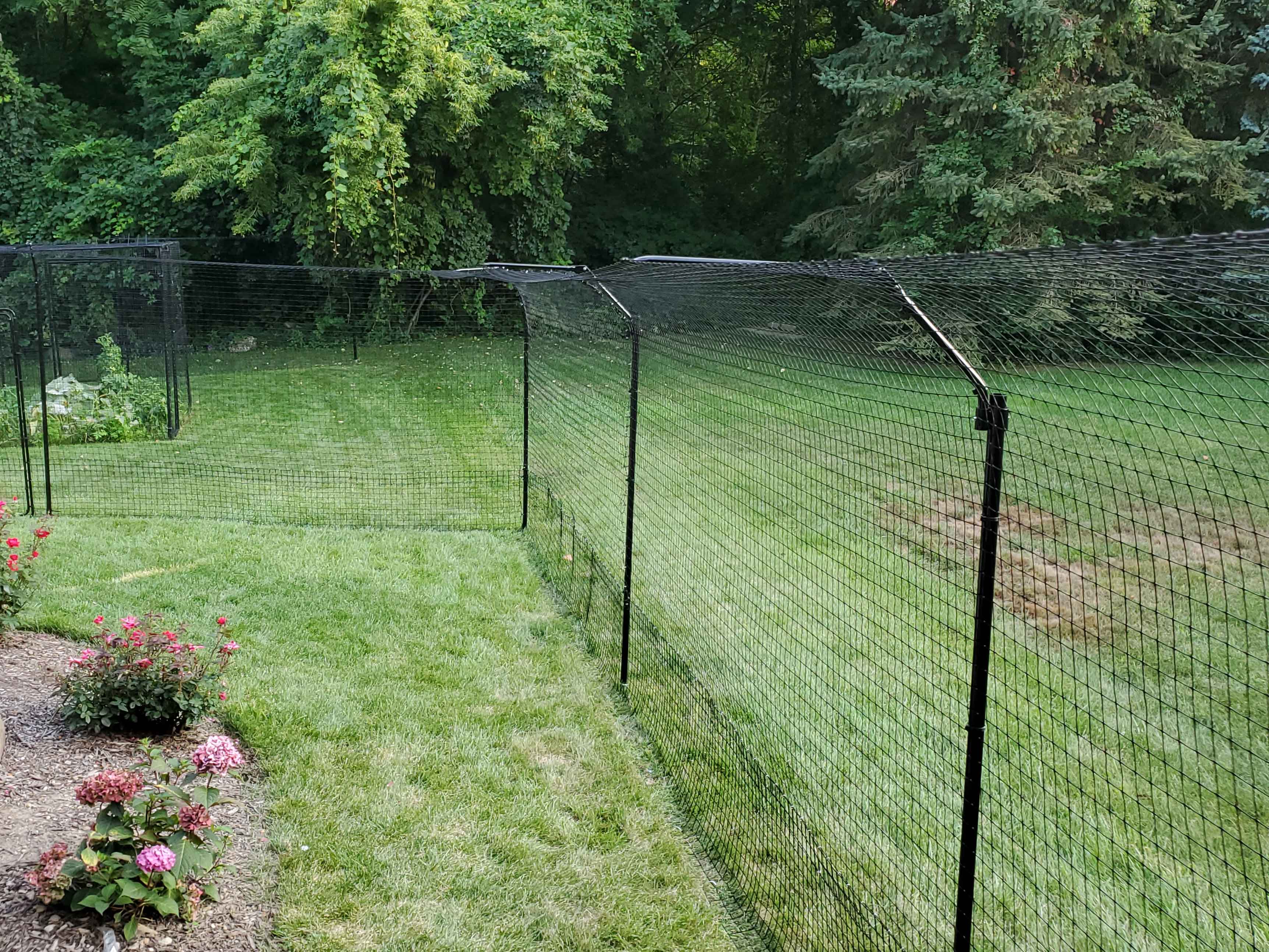 Cat Proof Fence Options DIY Vs Commercial Purrfect Fence cat-proof-fence-options-diy-vs-commercial-purrfect-fence
