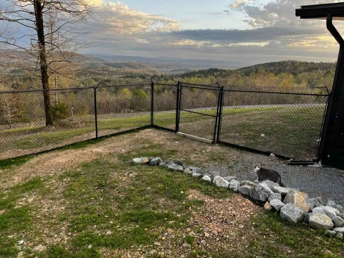 5 Reasons Why Every Cat Owner Needs a Cat Enclosure