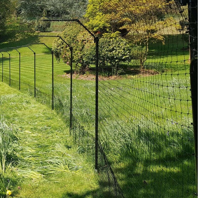 Fence with cat fencing netting in a grassy area
