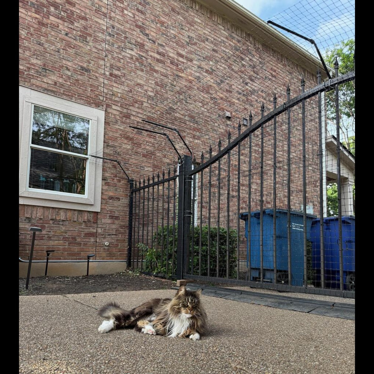 Existing Fence Conversion System Kit for Cats