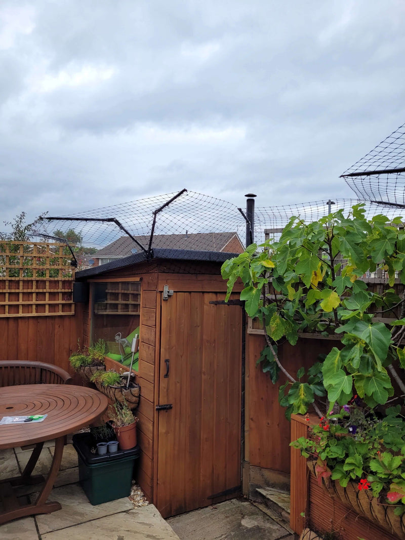 a backyard covered with fence to protect pets