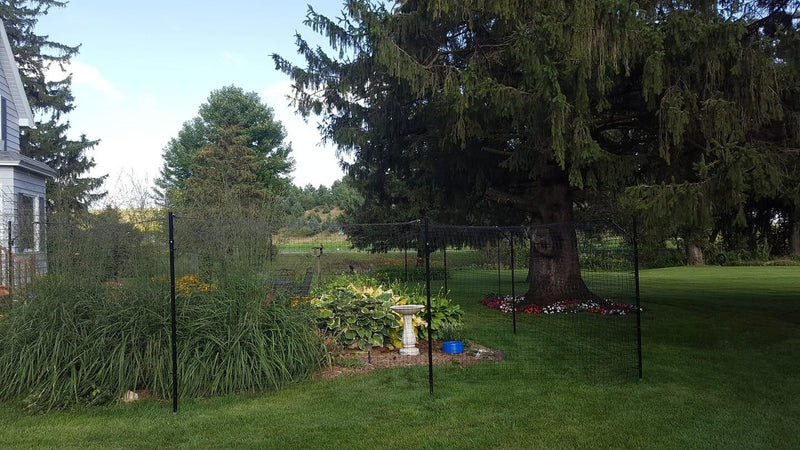 Residential backyard cat proofed