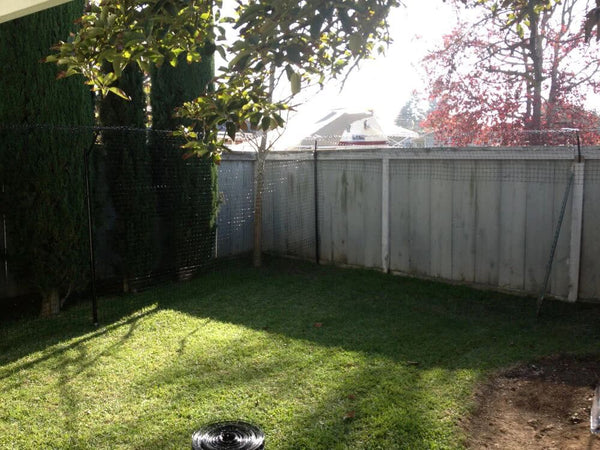 converting a lawn to cat fence