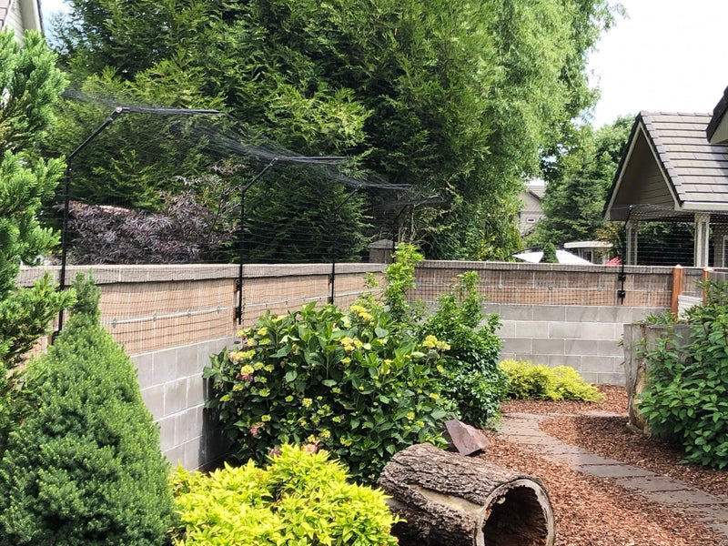 cat fence in the backyard of a house