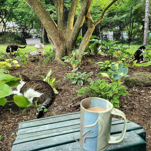 cats playing inside a fence garden