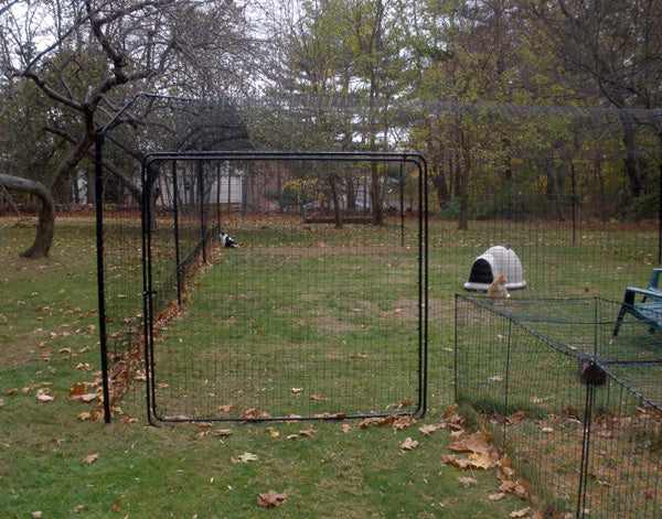 purrfect fence gallery image