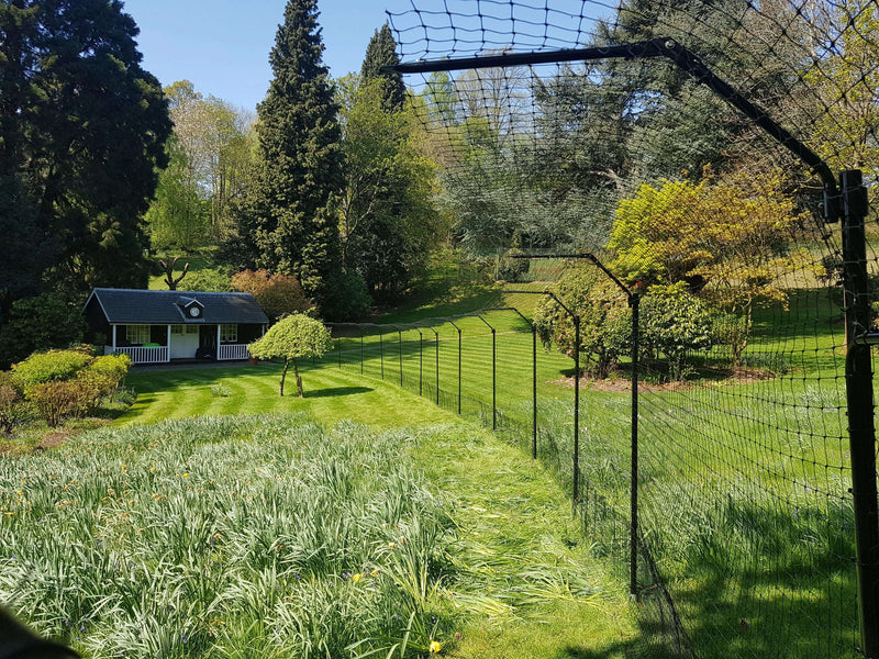 Most Effective Outside Cat Enclosures - Purrfect Fence