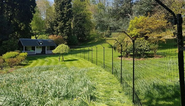 Most Effective Outside Cat Enclosures - Purrfect Fence