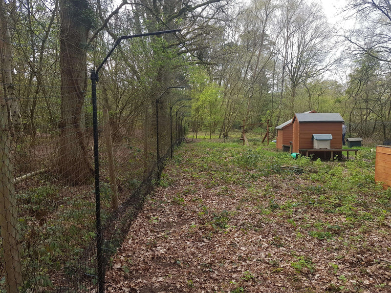 Cat paradise using cat fencing