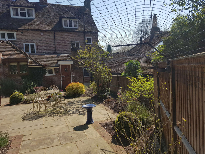 installed cat fence in the big backyard of a house