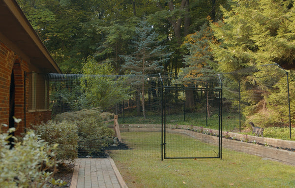 Best Outdoor Cat Enclosure - Purrfect Fence