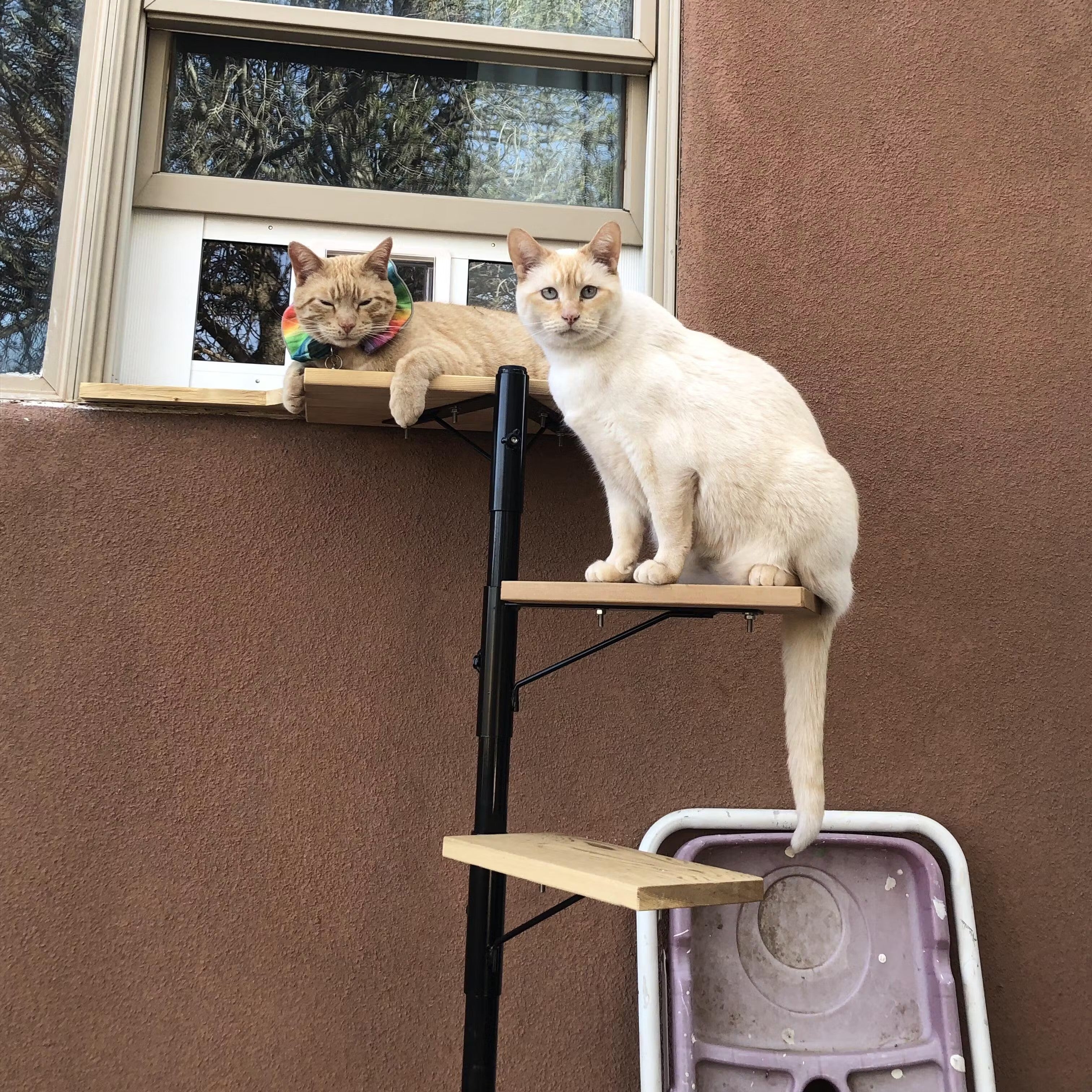Purrfect Perch Outdoor Cat Tree
