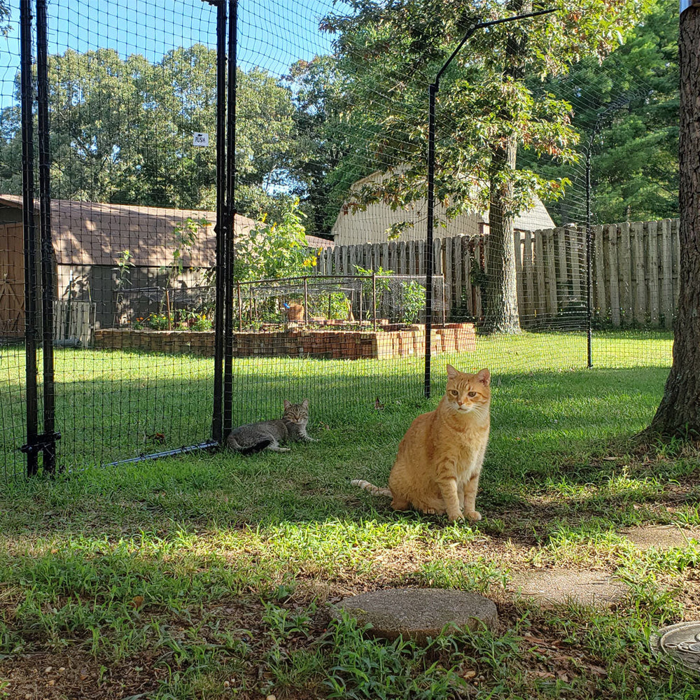Free-Standing Cat Fence Enclosure System Cat Fence Kits Purrfect Fence 