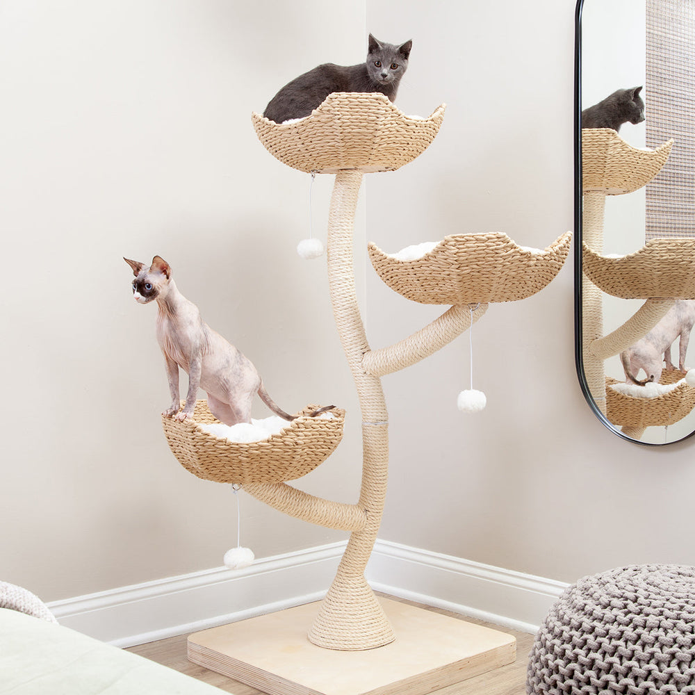 The Sanctuary Cat Tree