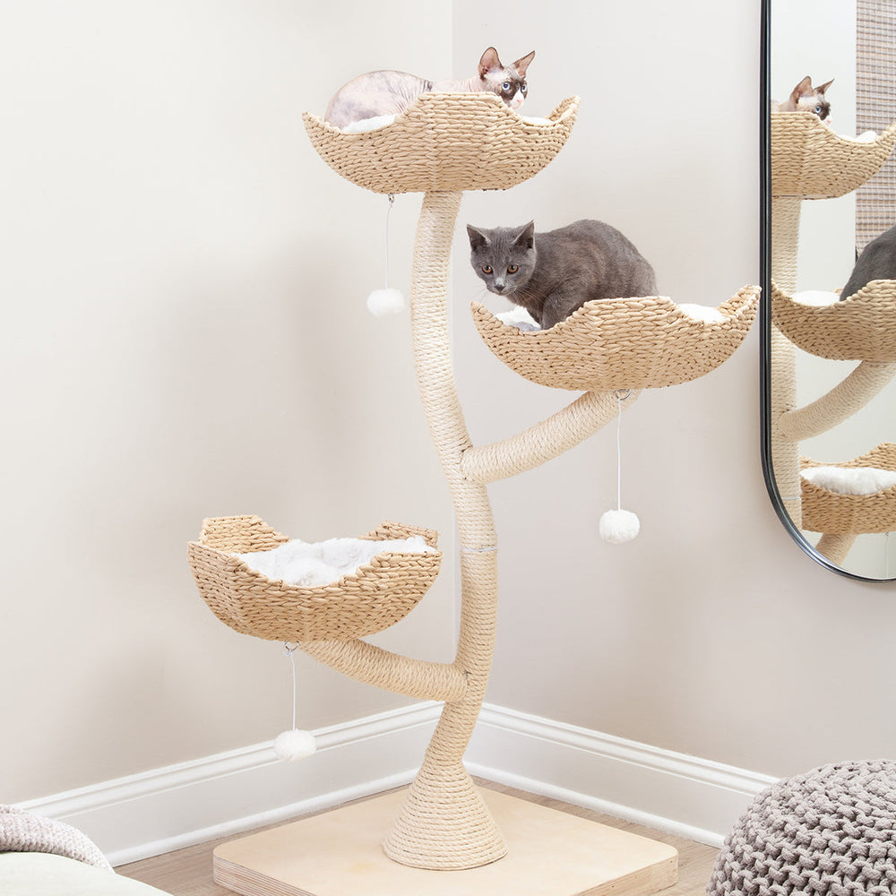 The Sanctuary Cat Tree