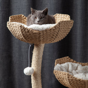 The Sanctuary Cat Tree