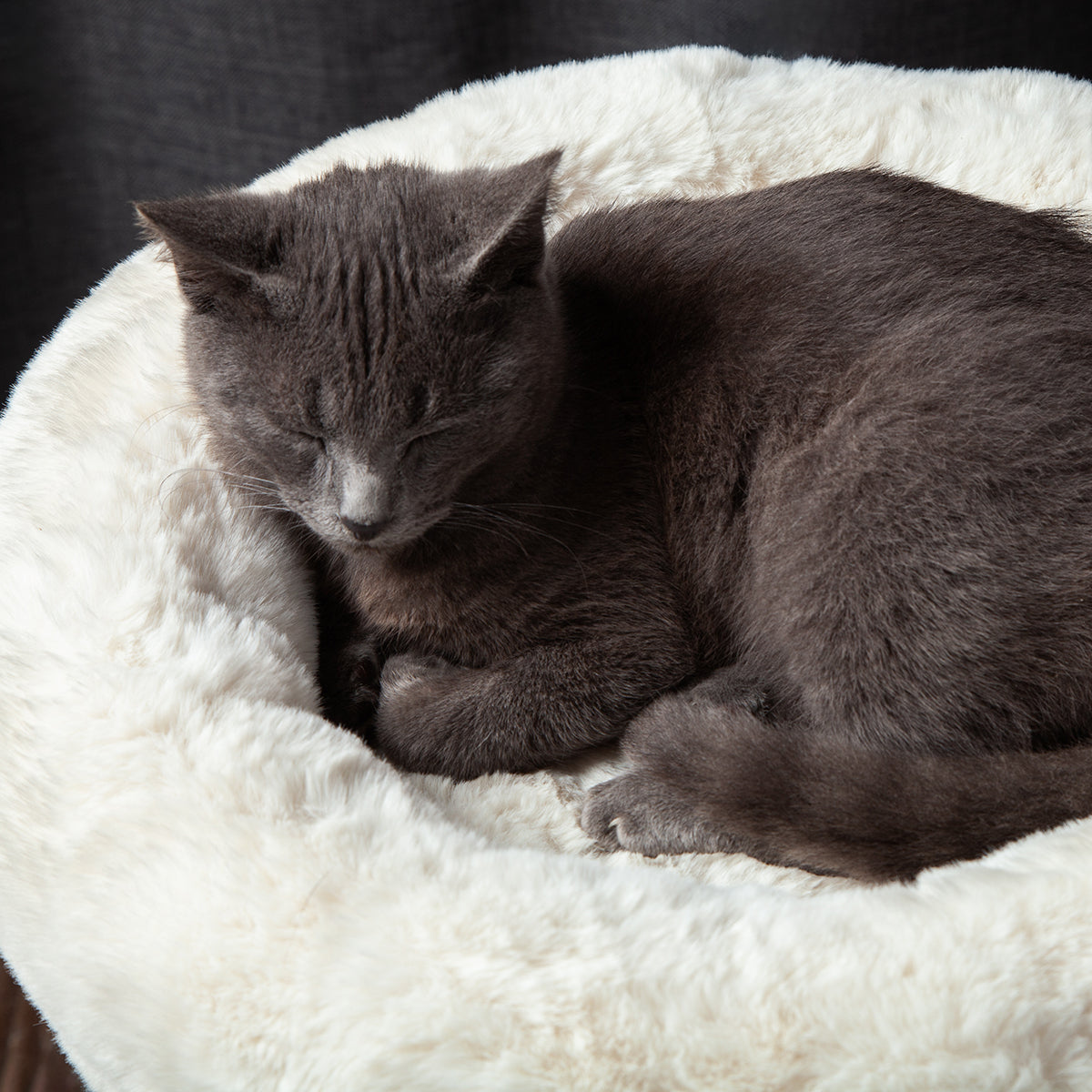 The Oasis Cat Tree – Purrfect Fence