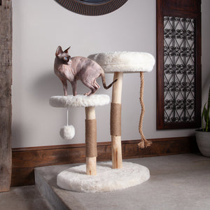 Sphynx Cat standing on top of white fur platform on cat tree