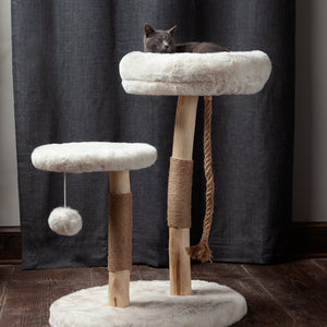 Grey Cat sleeping in donut bed on modern cat tree