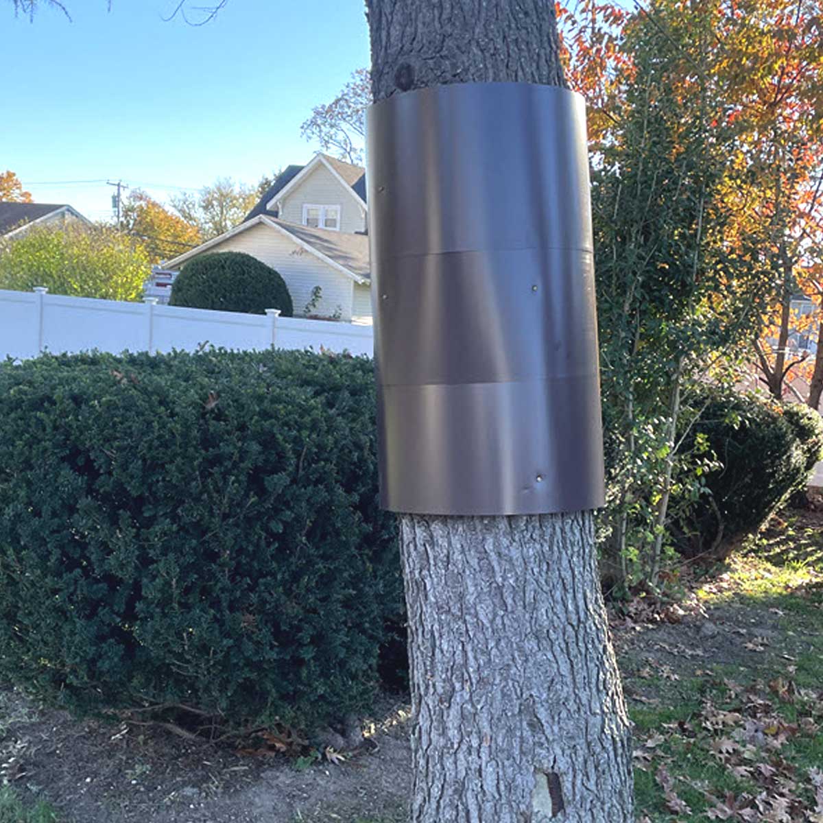 How Do You Stop A Cat From Climbing A Tree